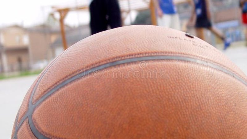 小型办公室绿植租赁，如何选择合适报价？**