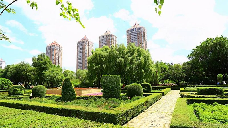 市政资质增项绿化，哪些条件是关键？**