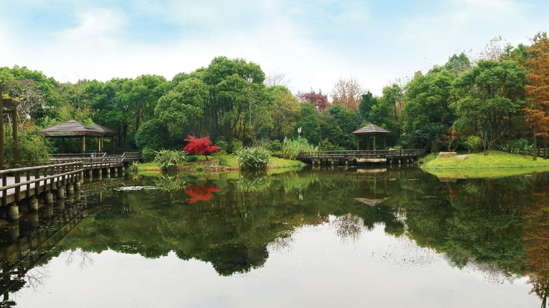 屋顶绿化基质铺设，这些施工方法才靠谱