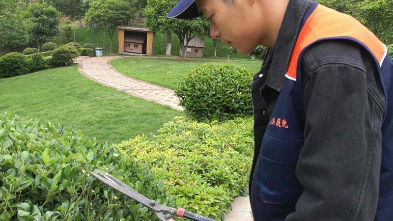 山地苗木种植机械：如何选择合适的利器？**