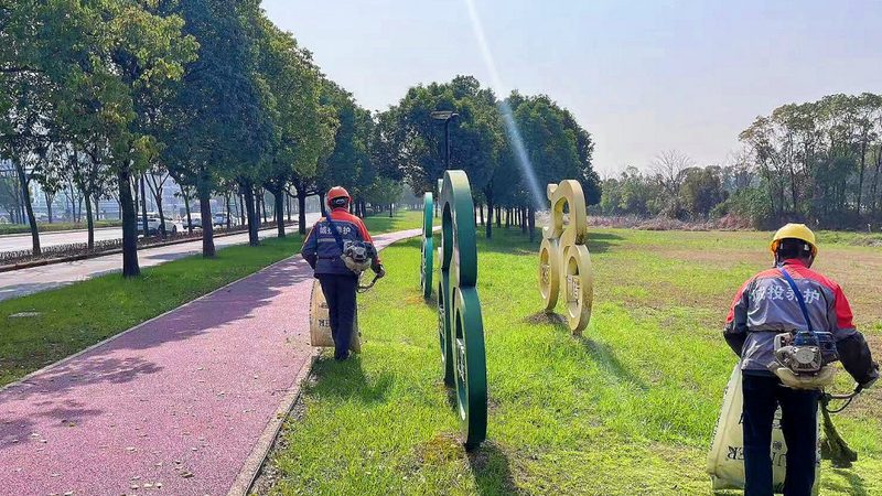 园林绿化苗木清单分类标准：规范与解读**