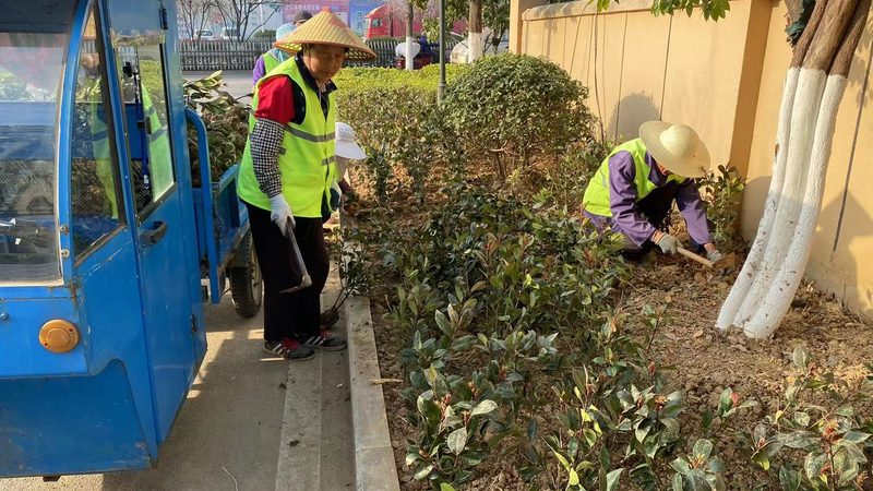 商业庭院绿化设计规范要求解析