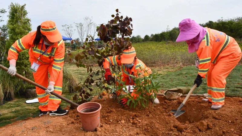 市政道路绿化喷灌安装：关键因素与报价解析
