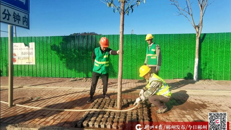 审核要点一：资质等级与报价合理性