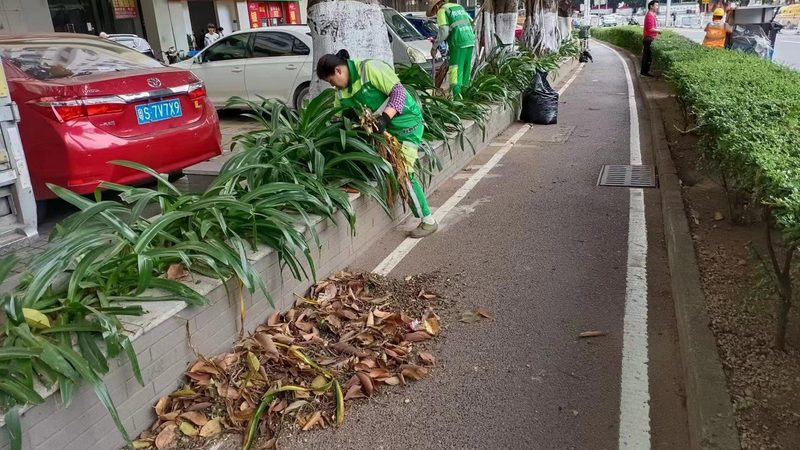 市政绿化设计施工合同范本：关键要素与注意事项**