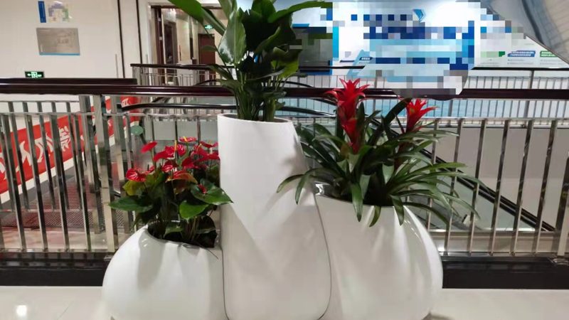 阳台立体绿化植物搭配攻略：打造绿色空间的艺术**