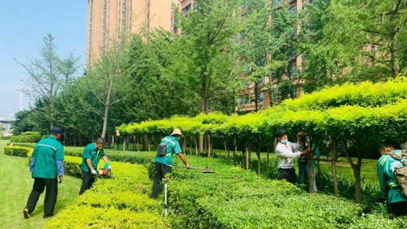 反季节苗木种植：加盟前的关键考量**